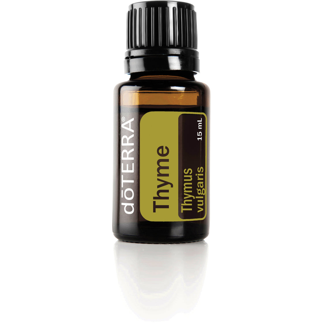 Thyme  (Thymus vulgaris)